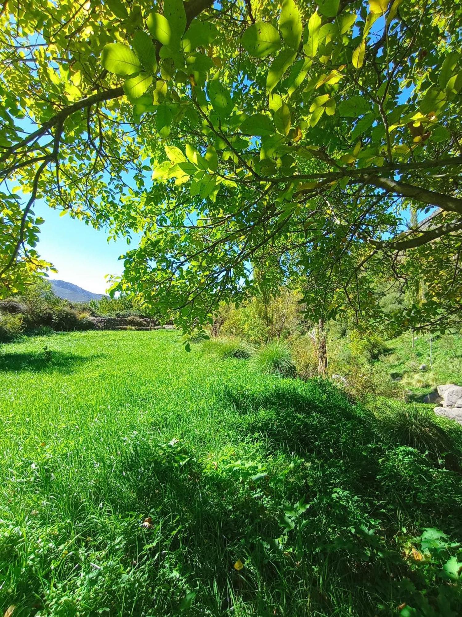 Gite Ogog Tacheddirt المظهر الخارجي الصورة